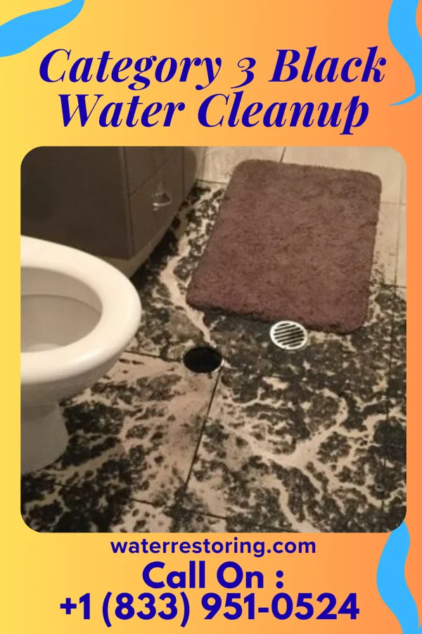 Category 3 Black Water Cleanup in Spring Valley, NY