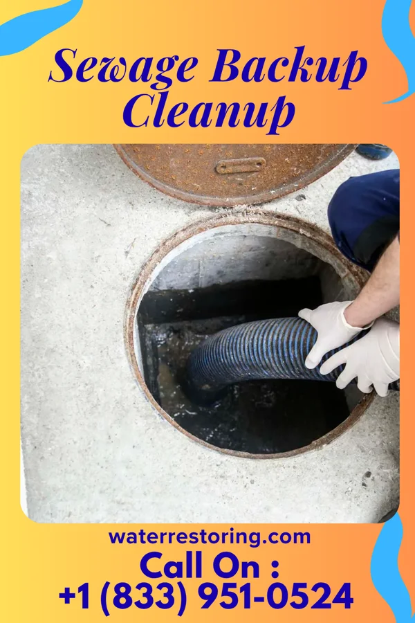 Sewage Backup Cleanup in Spring Valley, NY