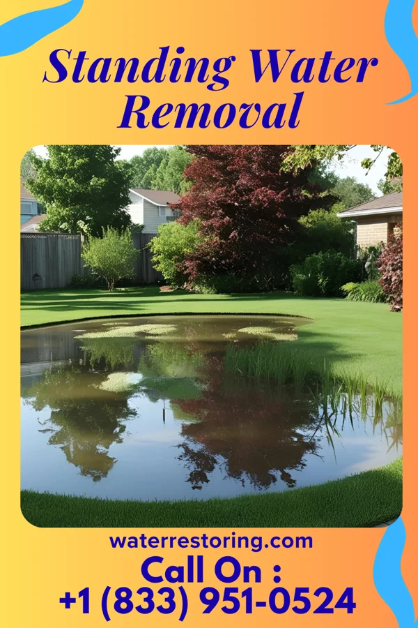 Standing Water Removal in Spring Valley, NY